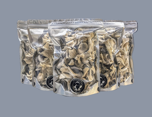 Sky Blue Oysters - Freeze Dried - 1oz