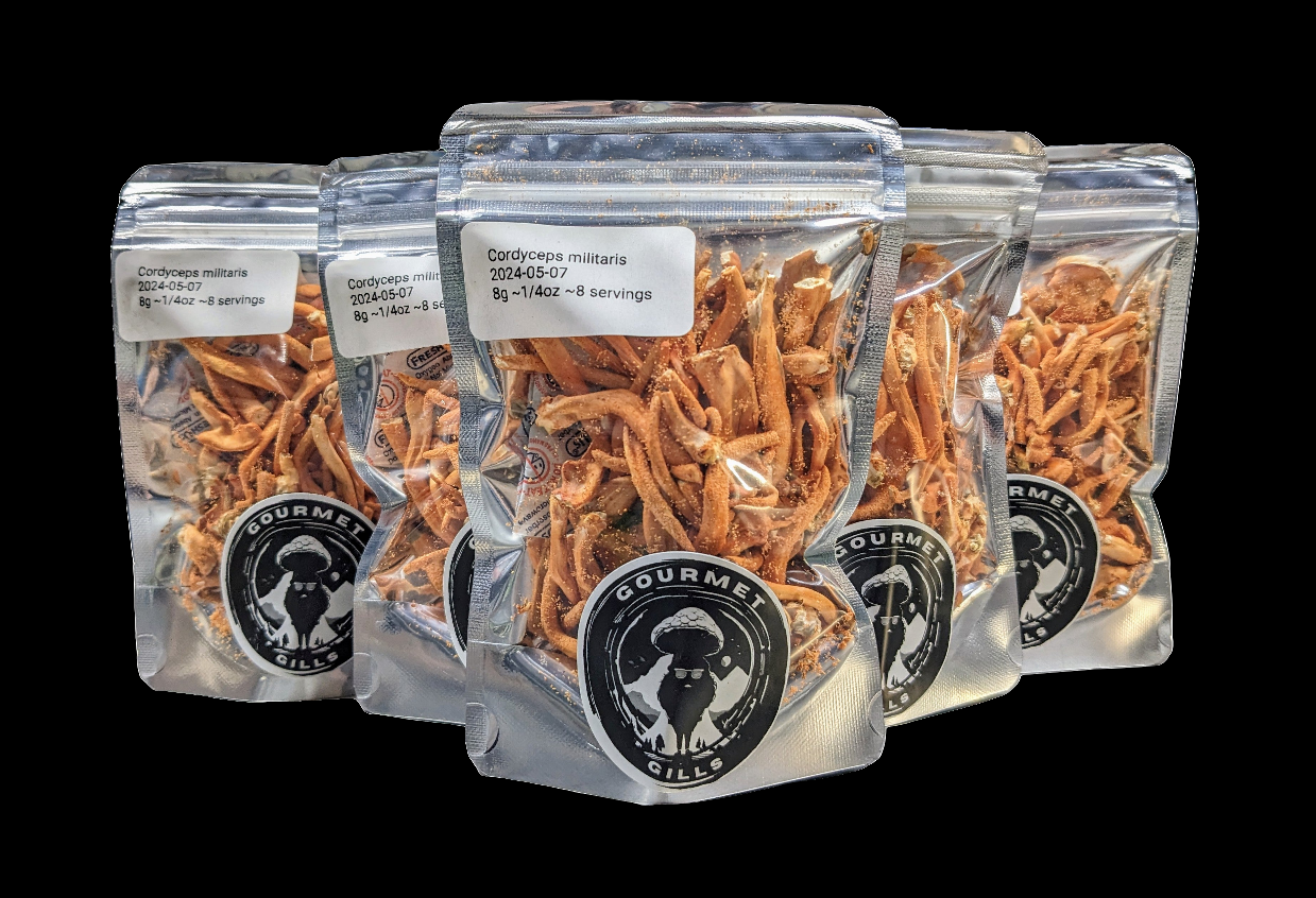 Cordyceps militaris - Freeze Dried - 8g